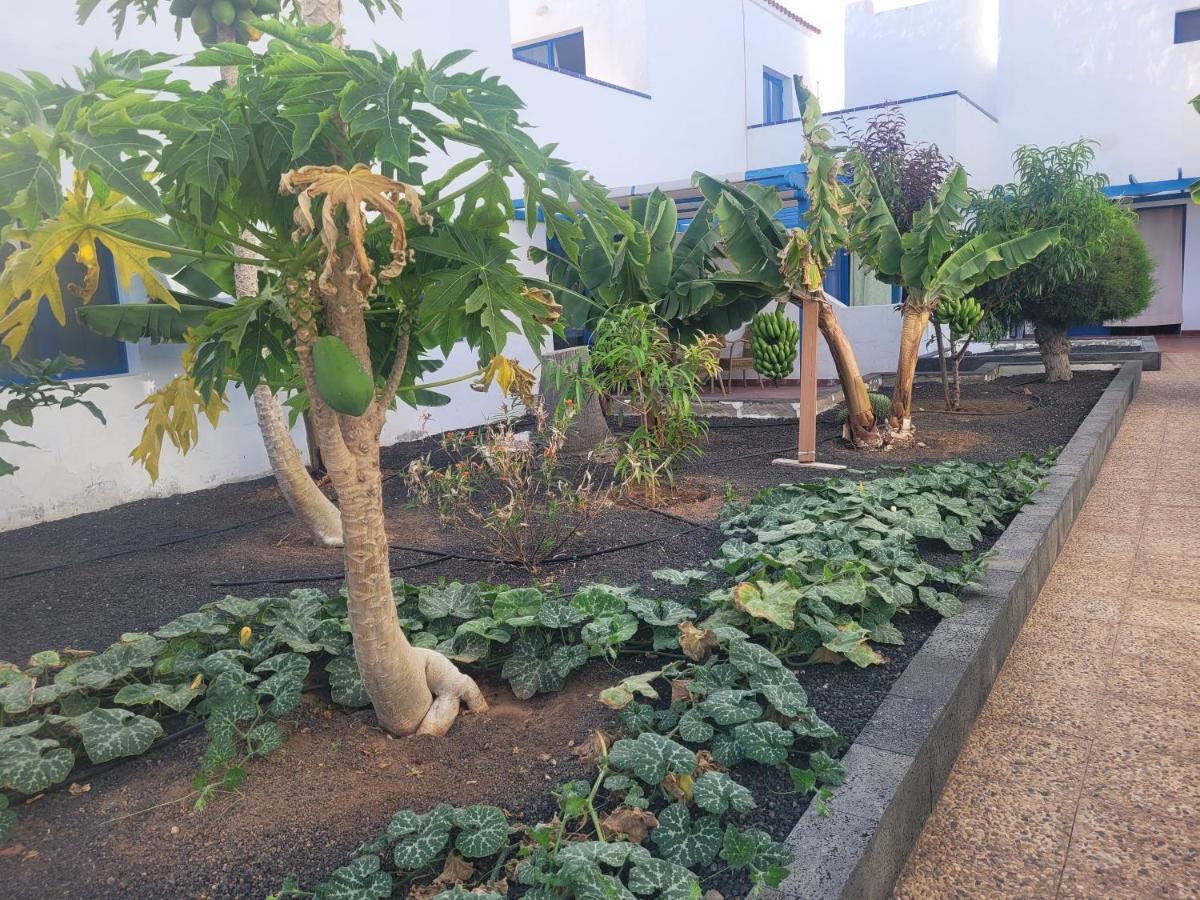 Nenita Apartment 科斯塔卡莱塔 外观 照片